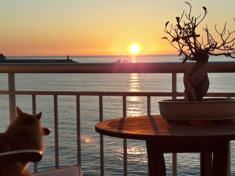 La Casa Del Port Apartman Jávea Kültér fotó